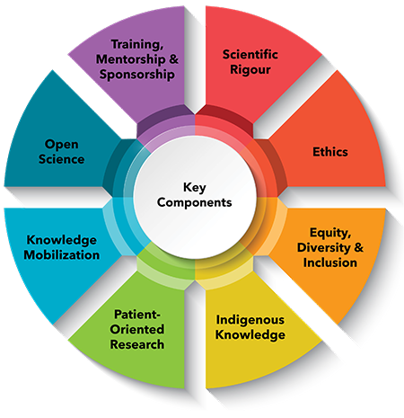 A pie chart with eight segments that lists the eight key components of research excellence, each in a different colour with an associated icon. A description of each segment follows.